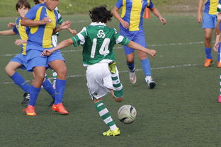 米兰体育app在线下载-最后几场比赛，谁能实现逆袭？，最后三场比赛